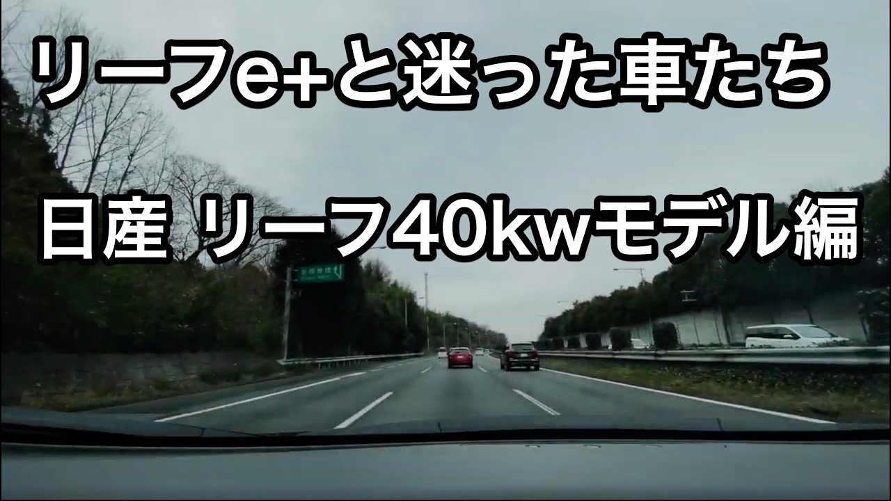 【リーフe+】購入時に40kwモデルと迷った話と決定打だった熱ダレテストの話