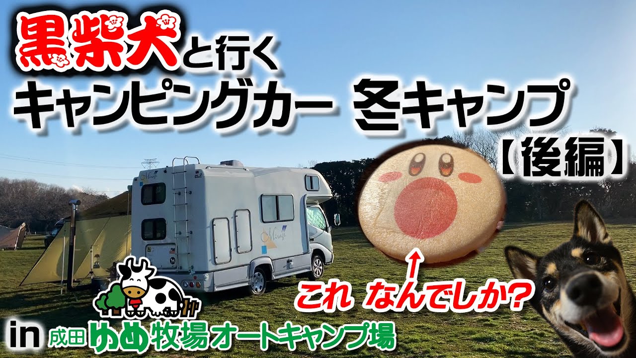 黒柴犬と行く キャンピングカー 冬キャンプ  【後編】in 成田ゆめ牧場オートキャンプ場