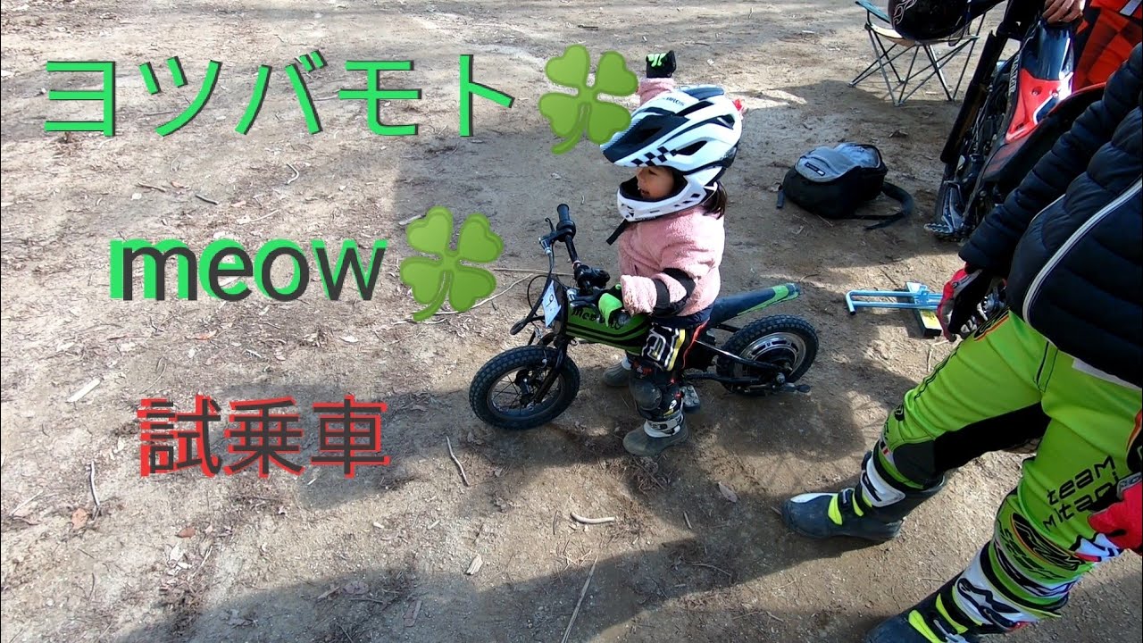 ヨツバモト🍀meow 試乗車について