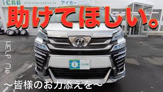 ［ アルファード / ヴェルファイア ］３０系の中古車について皆様のお力添えをいただきたく［新車or中古車］