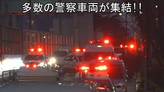 警察車両多数集結緊急事態【パトカー・覆面・ワンボックス・自転車】