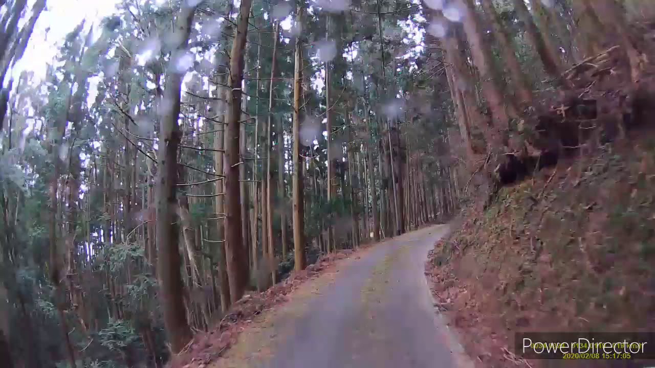 ドライブレコーダー山道