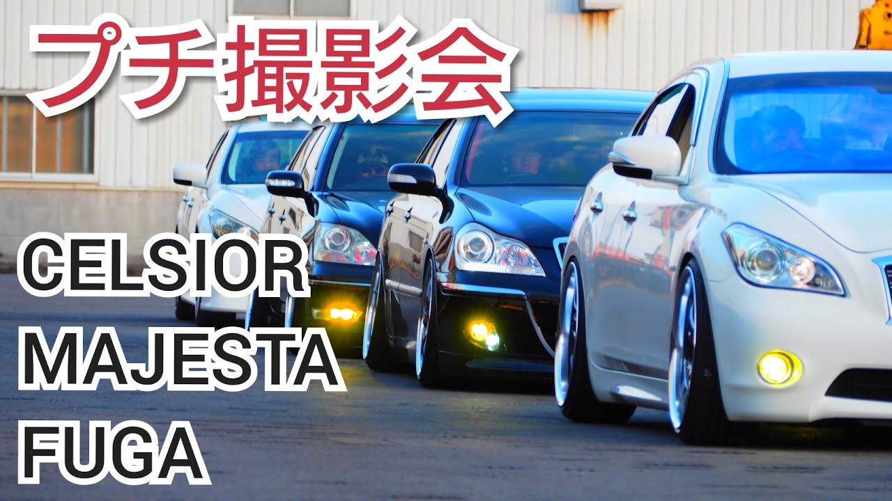 【プチ撮影会】#セルシオ #マジェスタ #フーガ