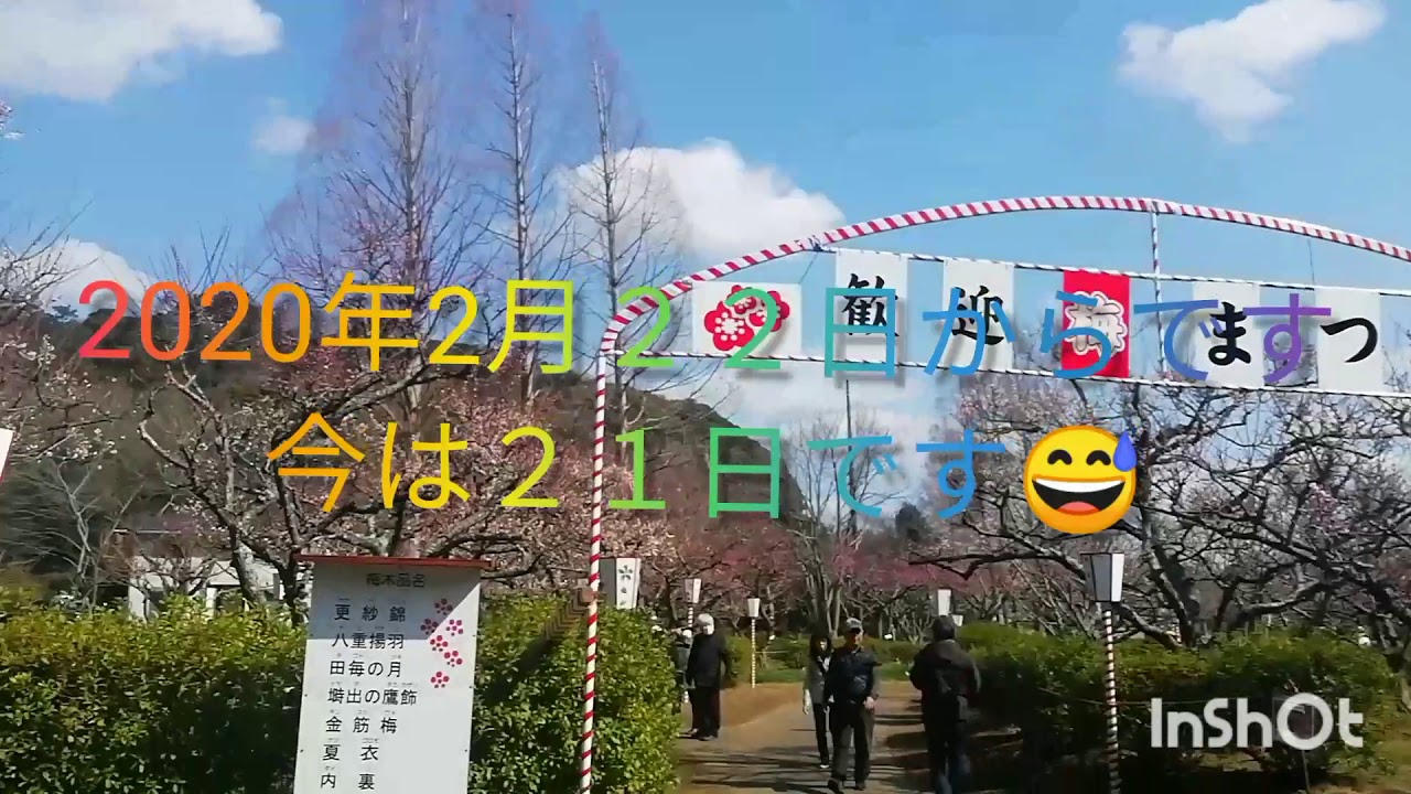 コペンで近くの公園に梅が咲いたか見に行く！