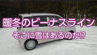 【ドライブ動画】暖冬のビーナスライン　そこに雪はあるのか!?