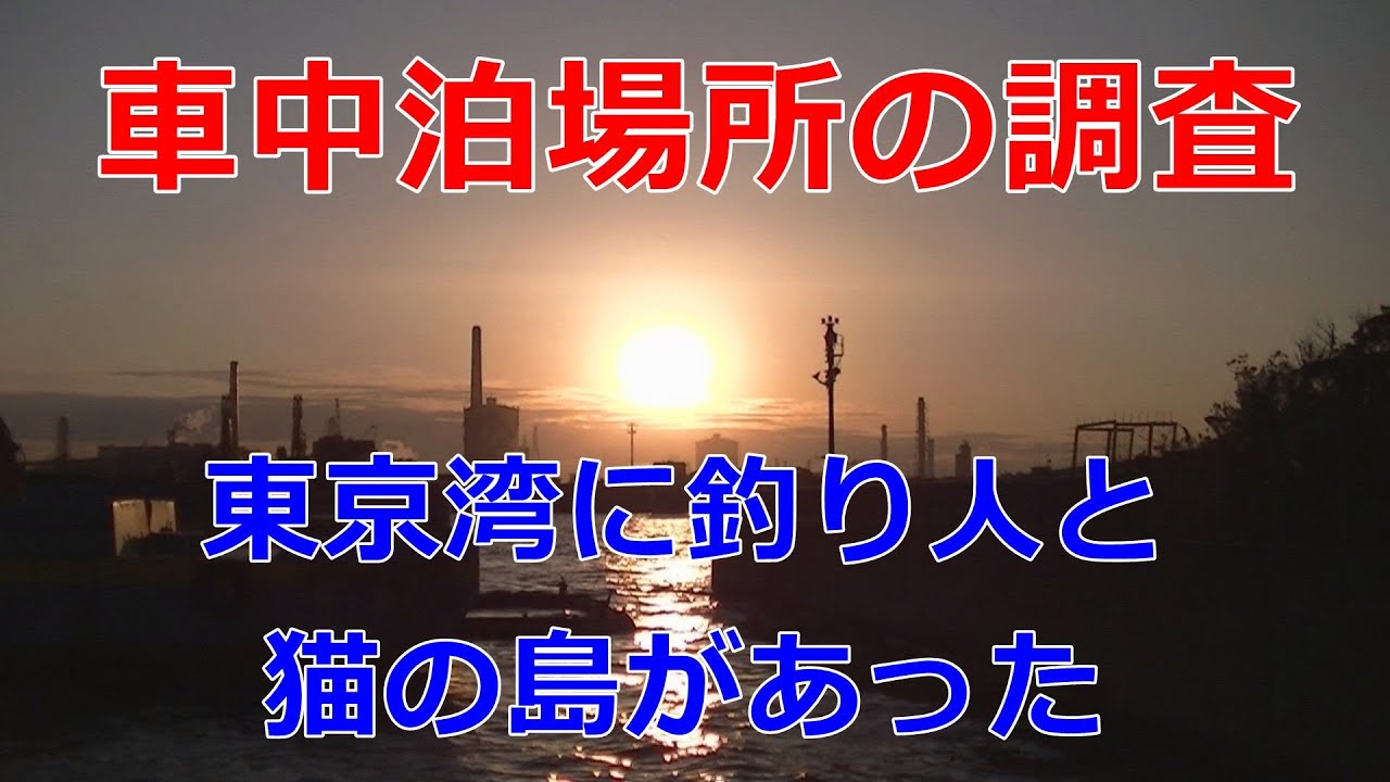【車中泊スポット調査】東京湾に車中泊できそうな場所の調査に行ったら釣り人と猫の島だった…