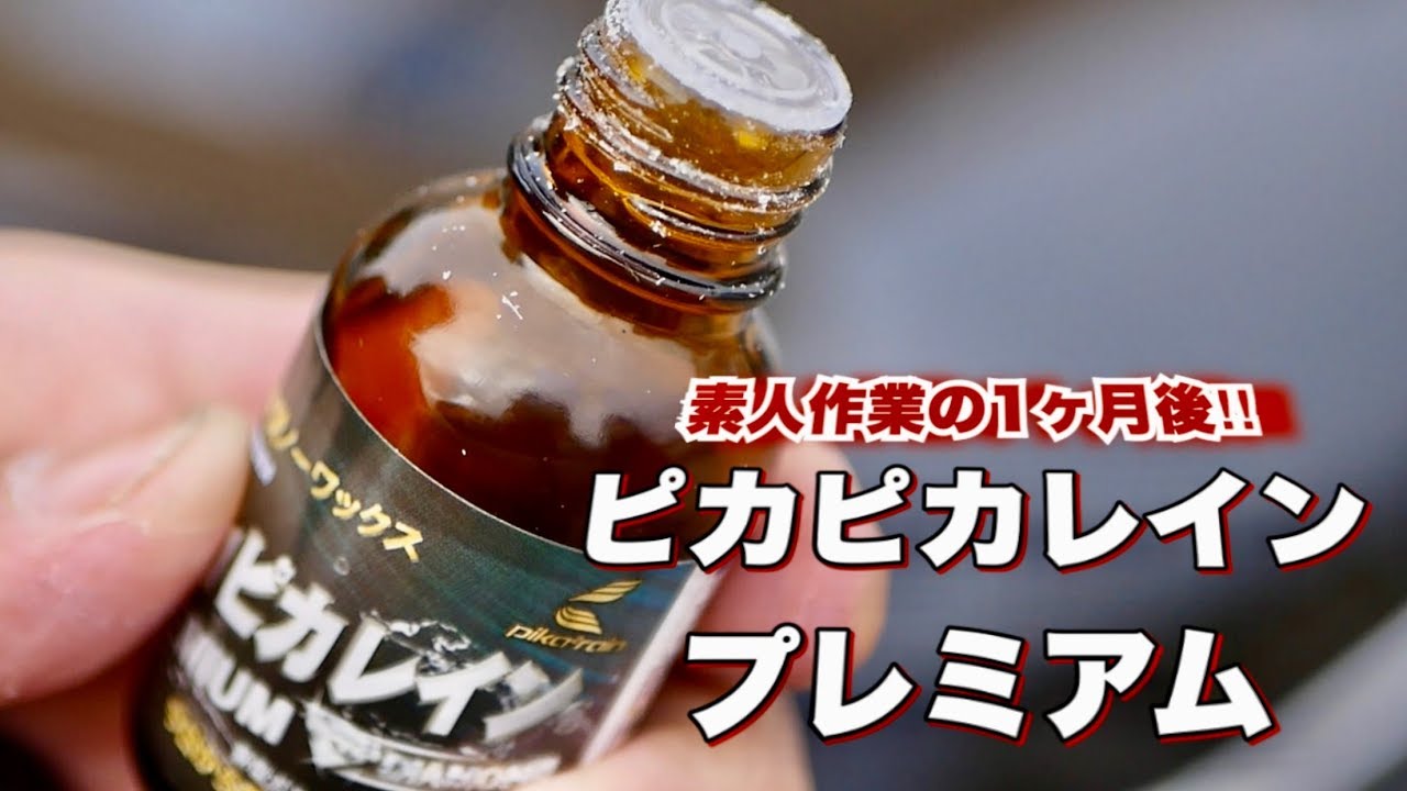 【ガラスコーティング】ピカピカレインプレミアムを使って1ヶ月後はどうなの?
