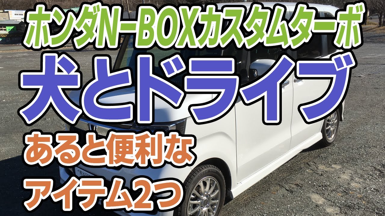 犬とドライブ あると便利なアイテム2つ