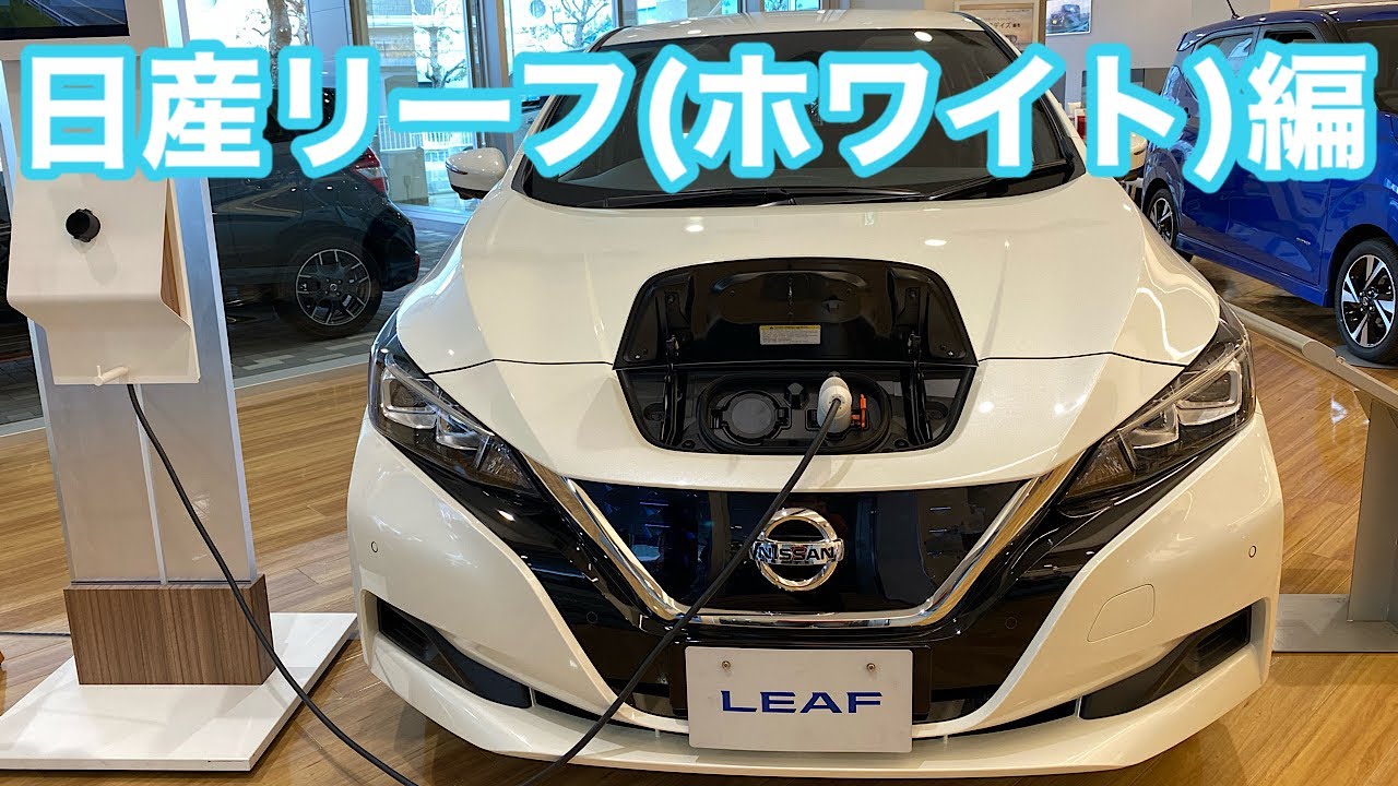 2020  ディーラーに行って来ました。日産リーフ（ホワイト）編