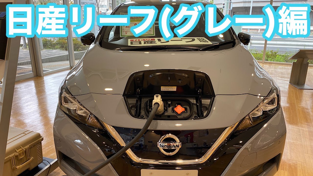 2020  ディーラーに行って来ました。日産リーフ（グレー）編