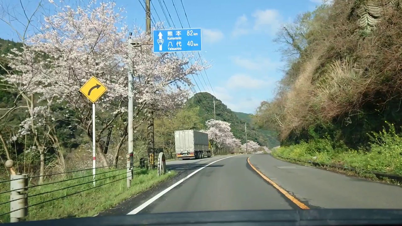 2020.3.29 国道219号線 桜 ドライブレコーダー