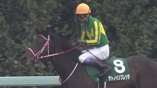 2020/03/28 第67回 毎日杯（GⅢ）【サトノインプレッサ】