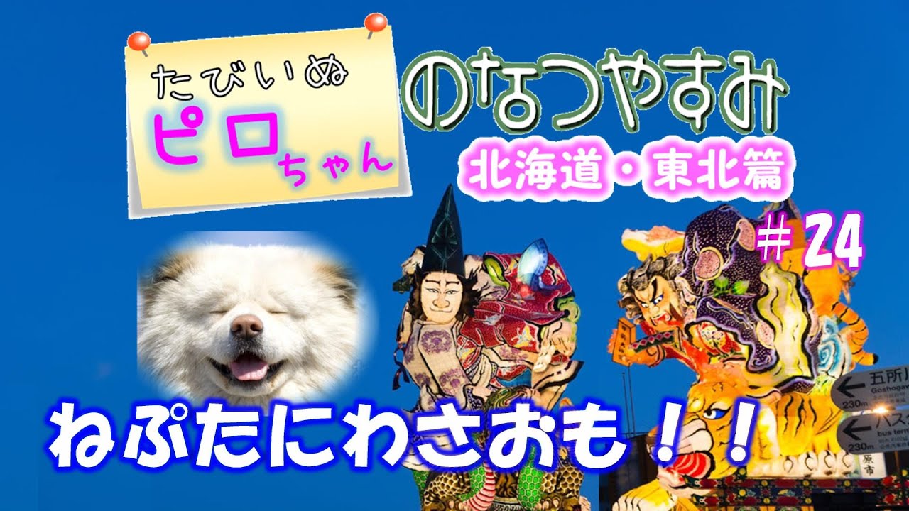 【車中泊でワンコ旅】たびいぬピロちゃんの北海道・東北車中泊の旅 ＃24