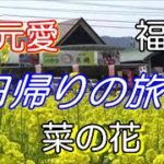 ステップワゴンの旅 その73 菜の花の原鶴温泉道の駅バサロ