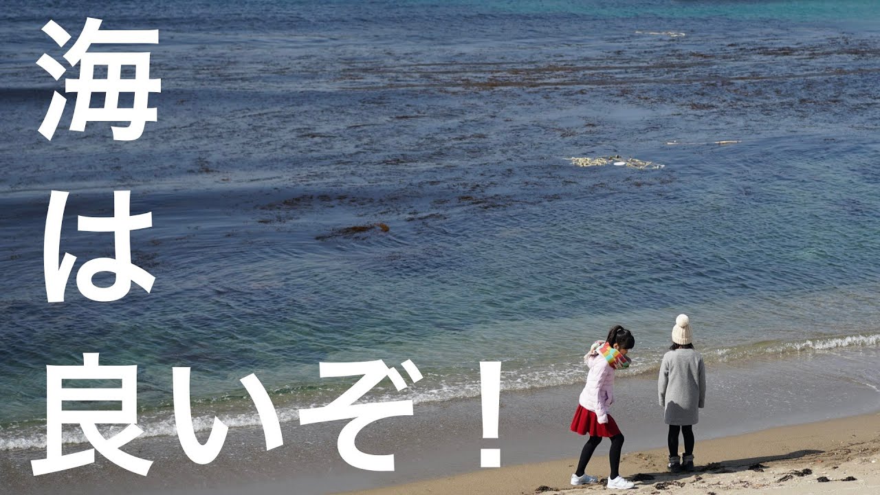 越前海岸をCX8でドライブ　Drive the Echizen coast with CX8  |  cinematic vlog#4