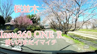 桜並木 ハイエースでドライブ Insta360 ONE R 4K広角モジュール