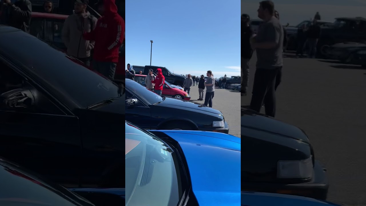 Mustang GT VS BMW Z4 Rev competition
