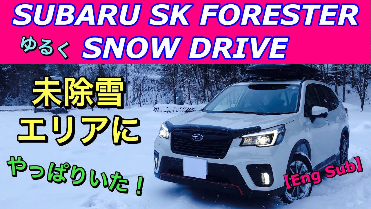 スバル フォレスター(SK)X-BREAK 未除雪の峠道でやっぱりの遭遇！ゆるく雪道ドライブ！ SUBARU SK FORESTER Fun snowy road drive【Eng sub】