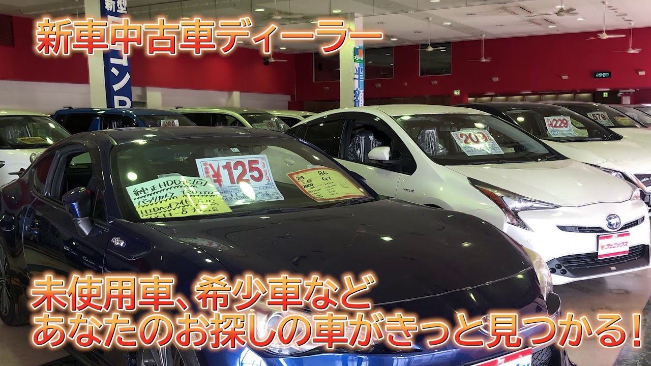 【金沢市】SUV・4WDも人気！中古車買うならおすすめのフェニックス