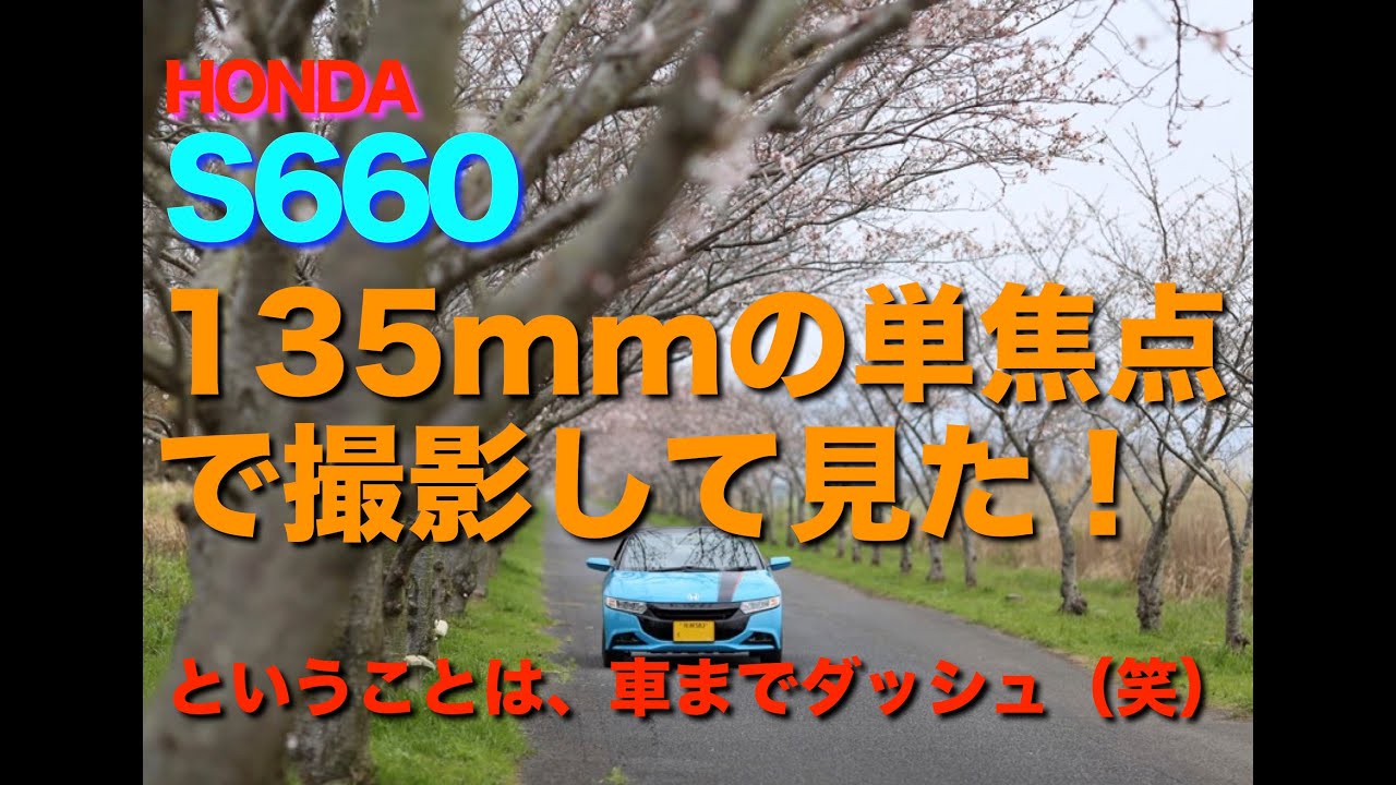 S６６０と桜並木　１３５mmの単焦点で撮影