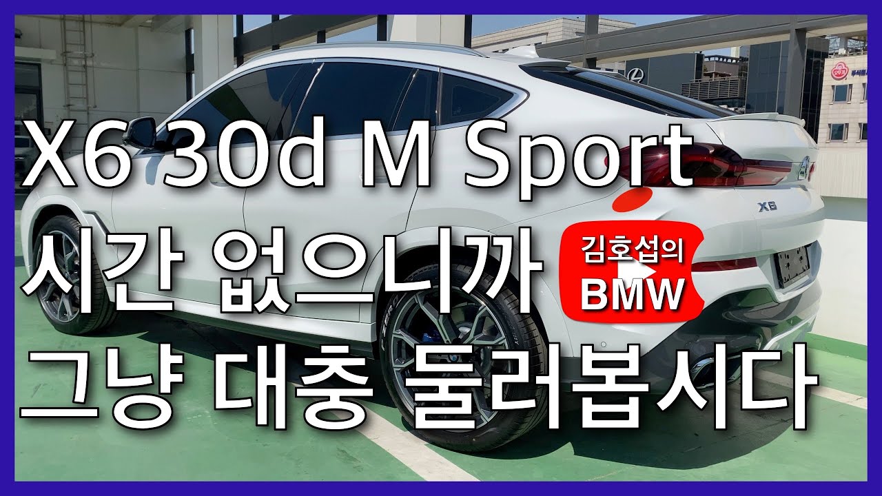 BMW X6 xDrive 30d M Sport Package (G06) / 미네랄 화이트 (A96) / 외장 색상 4분 컷 (4K)