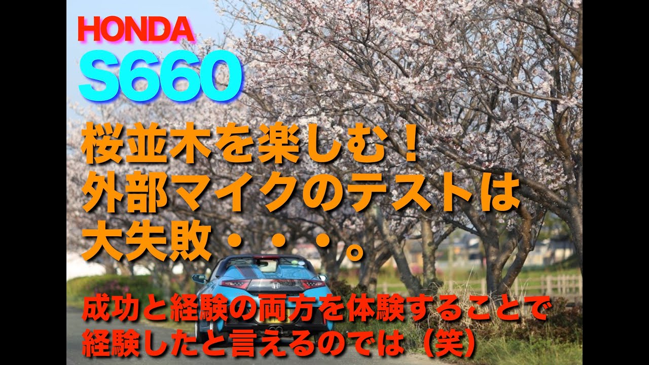 S６６０で桜並木を楽しむ　外部マイクのテストは大失敗・・・。