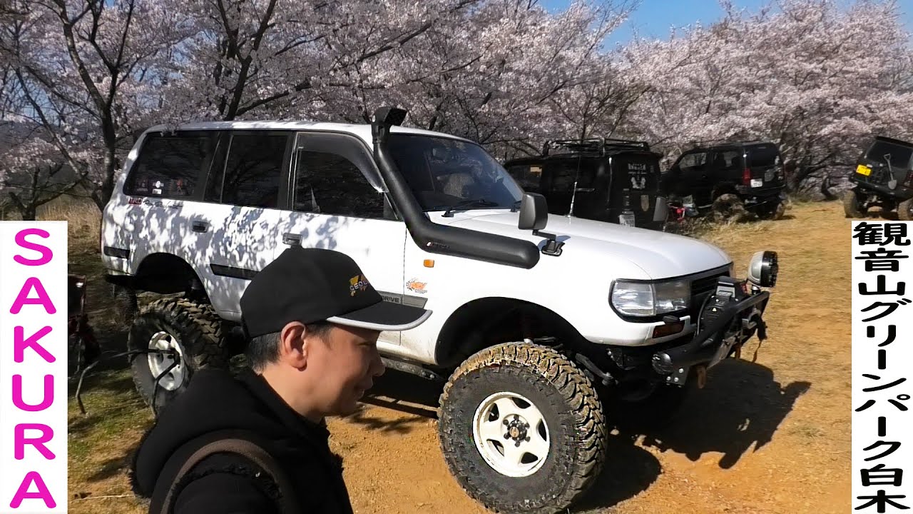 ジムニー  🔴 ラングラー 🔴 ランクル  Sakura and Off-road Fun 観音山グリーンパーク白木 Jimny, Land Cruisers and Jeep wrangler