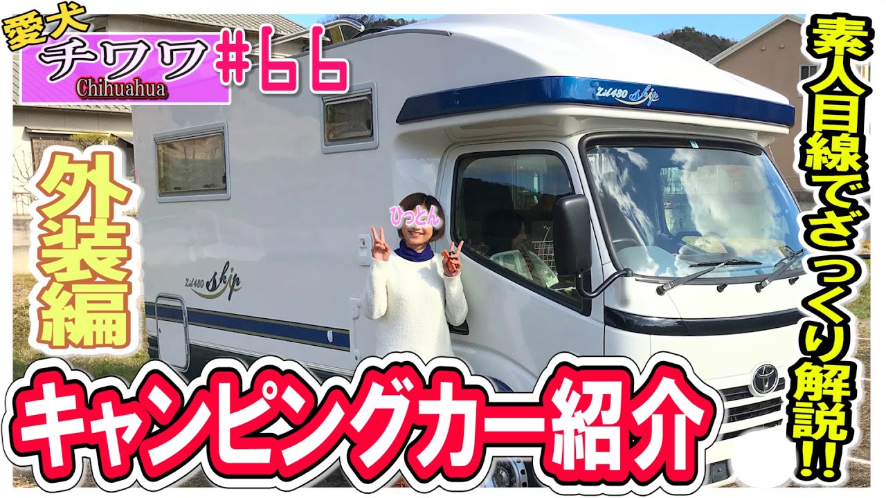 【バンテック Zil480Skip】キャンピングカー紹介「外装編」愛犬チョコと一緒に紹介【愛犬×キャンピングカー】【我が家の愛犬#66】【概要欄にサブチャンネルURL☆演奏動画☆】