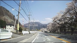 長野～山梨～横浜　の花見満開時　ドライブレコーダー