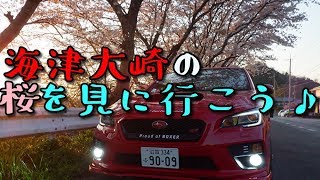 【実況車載】新章#１９～紅いＶＡＢを走らせて～【ＷＲＸ ＳＴＩ】桜を見に行く！