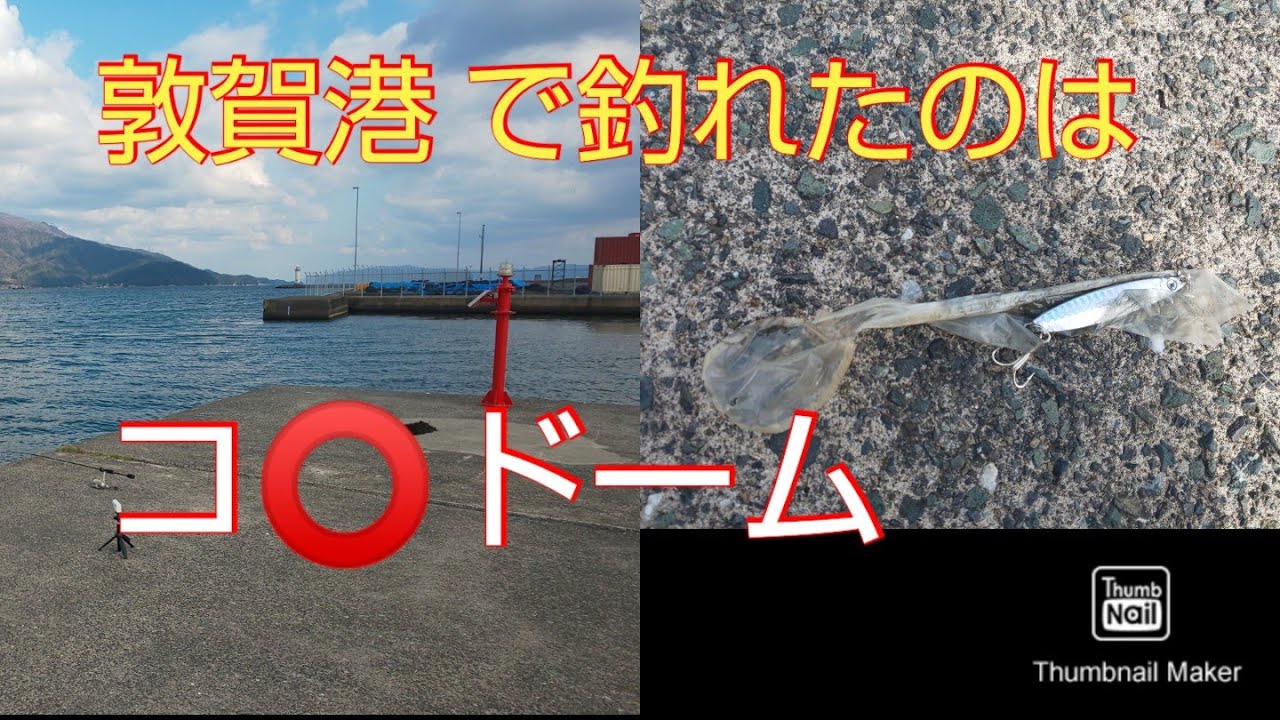 【車中泊＆釣り】福井で釣ったのは、コ〇ドームって。