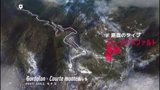 [Dirt Rally 2.0]Monte Carloタイムアタック（Gordolon）インプレッサS4Rally