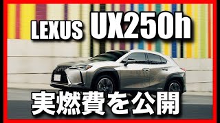 LEXUS「UX250h」給油方法と実燃費を公開