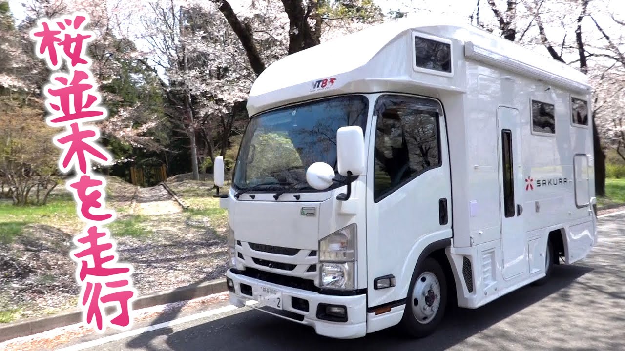 キャンピングカー新型SAKURAで桜並木を走行！桜と菜の花と青空と春