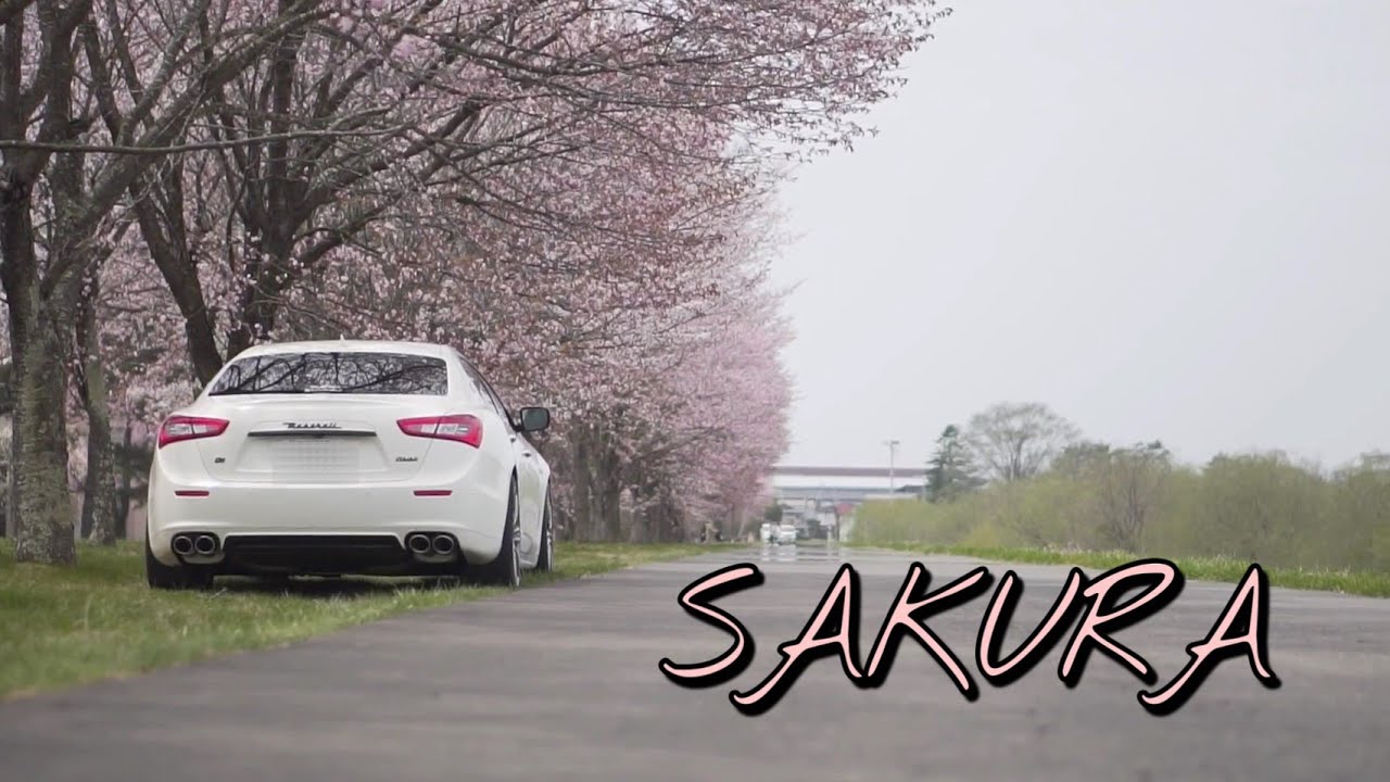 SAKURA　桜　Maserati Ghibli　マセラティギブリ