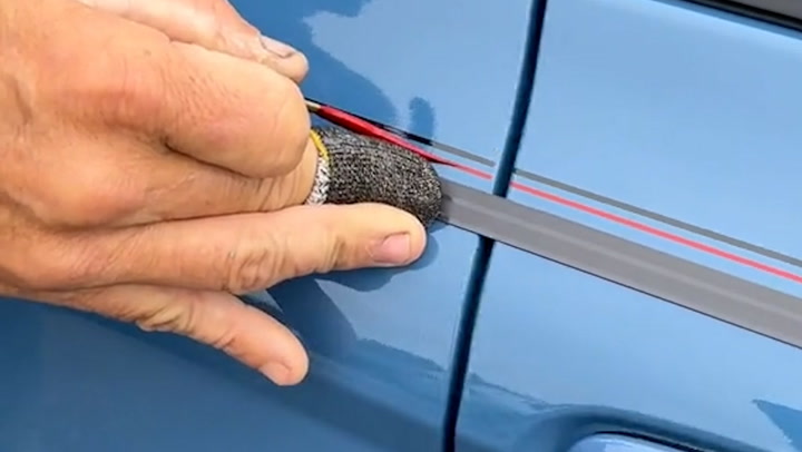 Pinstriping Is professional freehanded line art