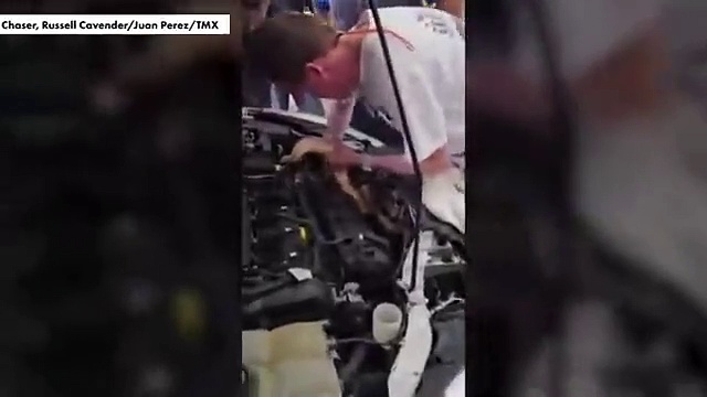 Mecánico de Florida saca una boa  2,5 metros del motor de un coche